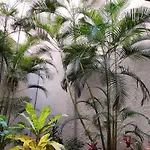 Daire Spacious 2 Beds Appt With Pool In A Large Complex Puerto de Santiago (Tenerife)